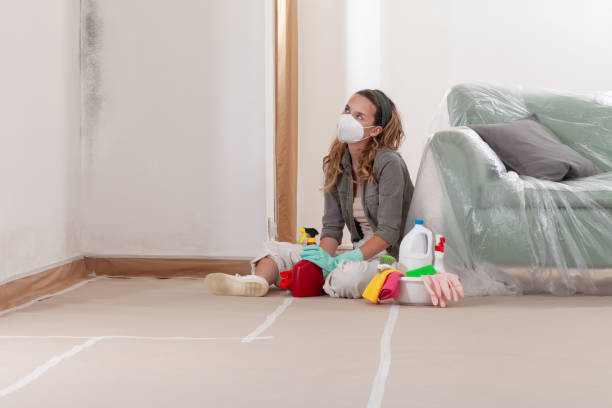 Reliable Mold Remediation contractor in Medina, TX by WQB Mold Removal